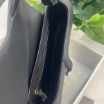 Dior saddle scrub series